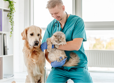 Vet Practice Uniform Guide: From Reception to Theatre